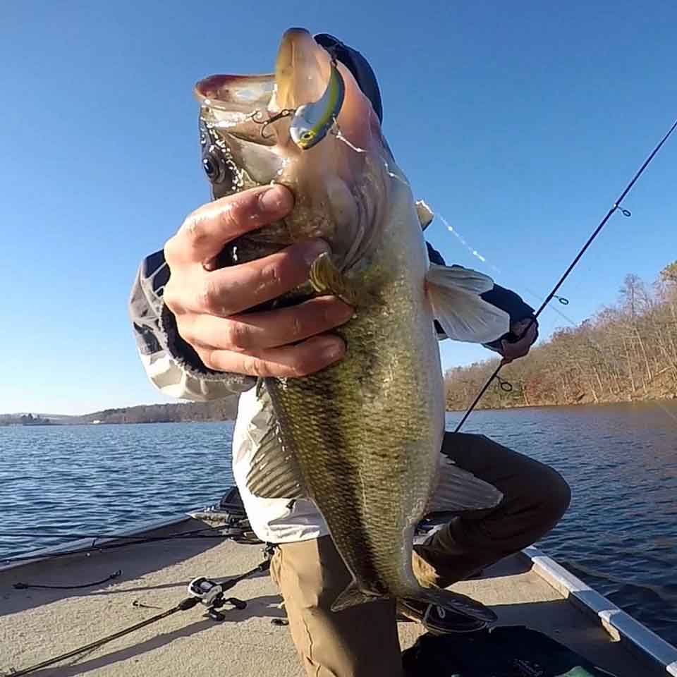 Binsky Blade Bait with a big cold water largemouth